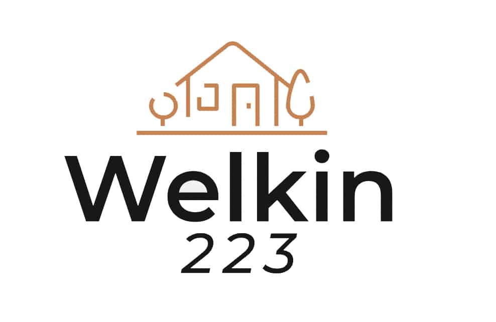 Final Welkin Logo_2022-11-04